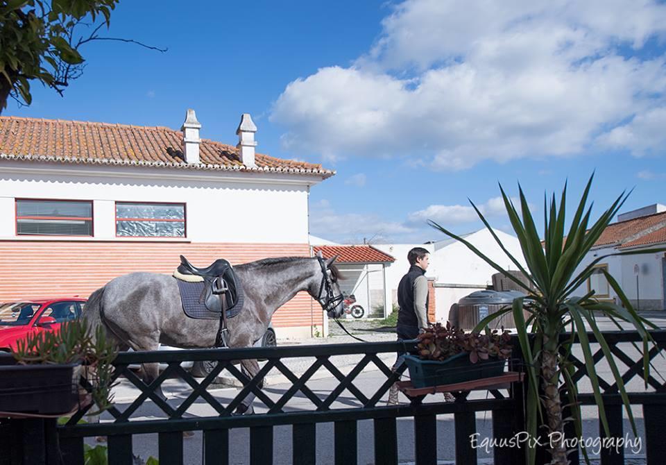 Inn Golegã Extérieur photo